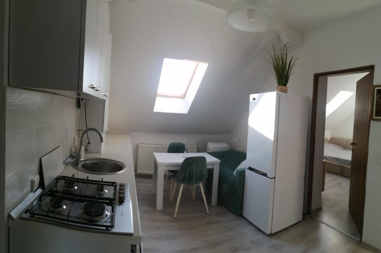 Appartement Iosefin Sunset Studio Thirteen à Timişoara Extérieur photo